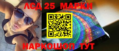 прущие грибы Сланцы