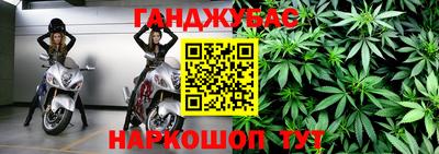 прущие грибы Сланцы