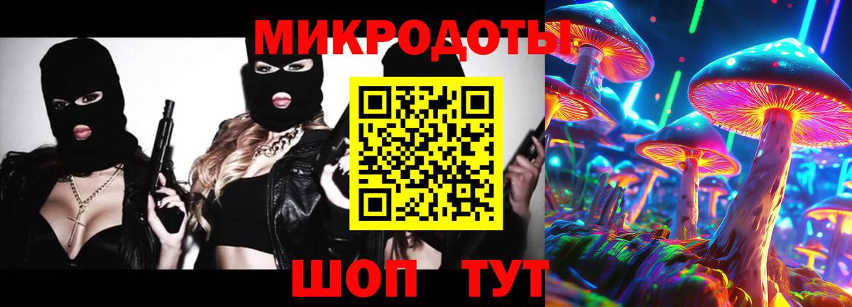 Галлюциногенные грибы Cubensis Пугачёв