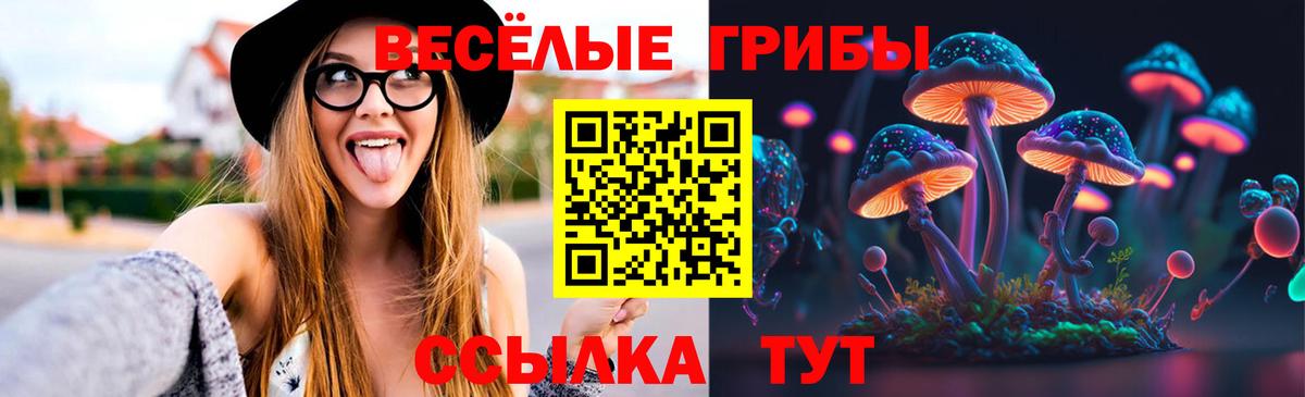 Псилоцибиновые грибы ЛСД  Вход с VPN  Пугачёв 